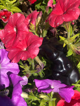 Load image into Gallery viewer, Self Love