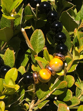 Load image into Gallery viewer, Bumblebee Jasper