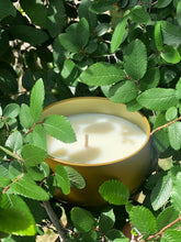 Load image into Gallery viewer, Vibrate Higher